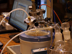 Imagen de laboratorio